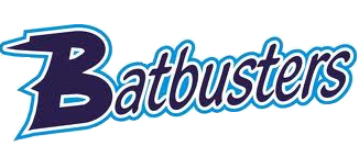Michigan Batbusters